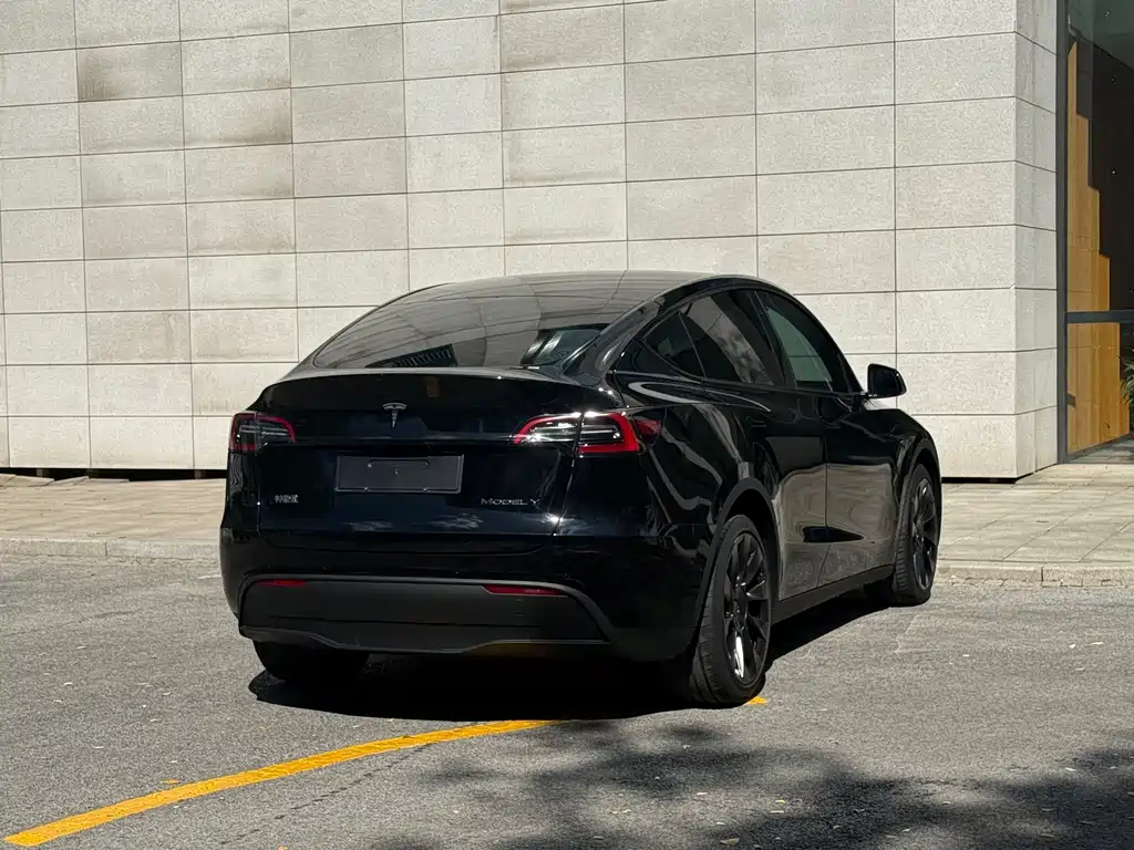 Tesla Model Y — миниатюра 19