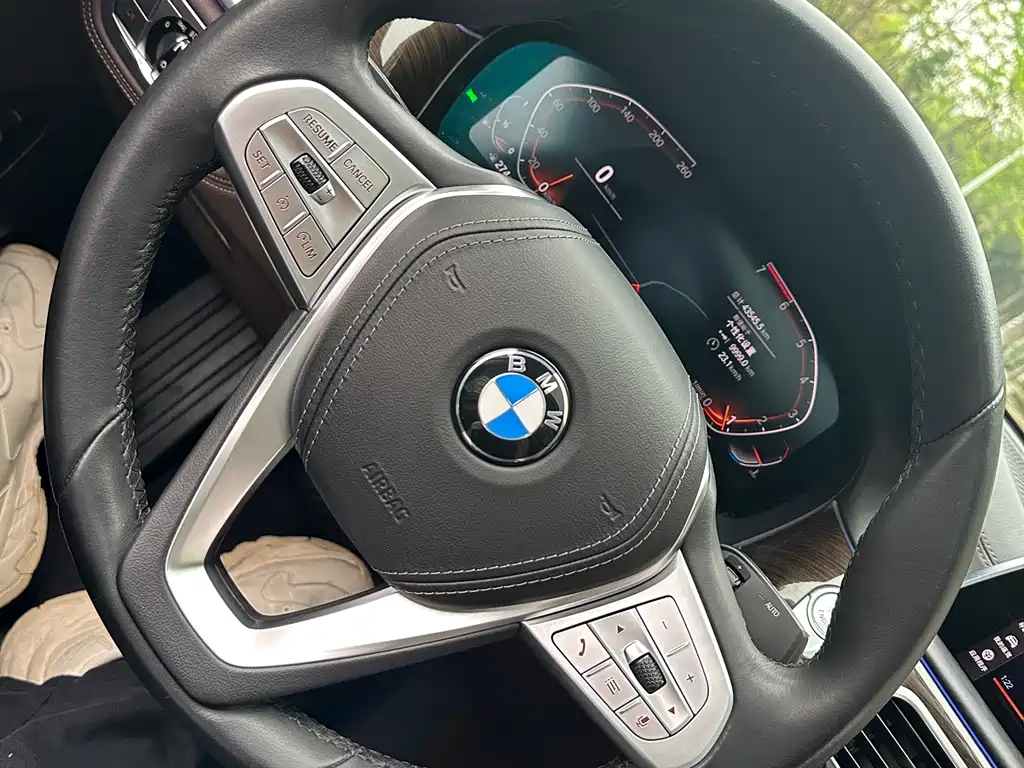 BMW 7 Series 7 2019 730Li Luxury