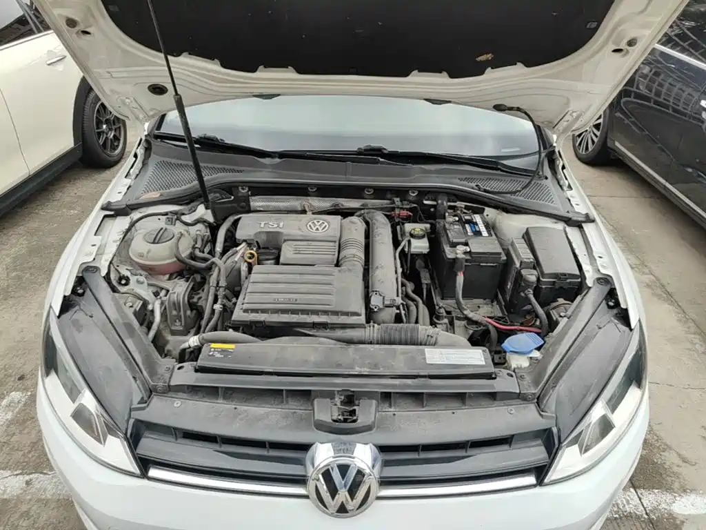 Volkswagen Golf — миниатюра 20