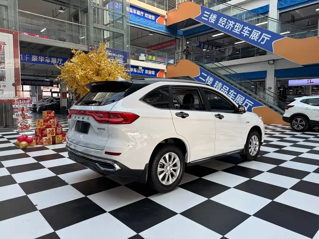 HAVAL M6