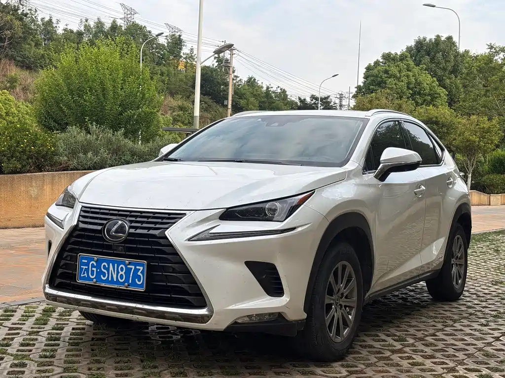 Lexus NX 2020