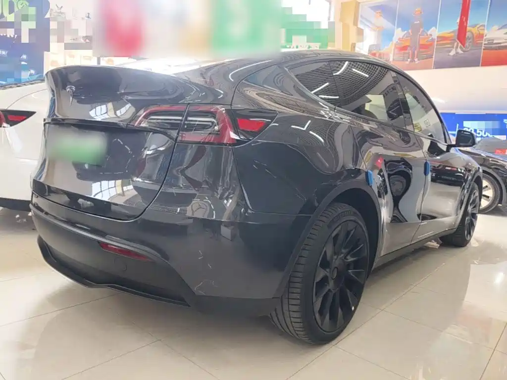 Tesla Model Y — миниатюра 7
