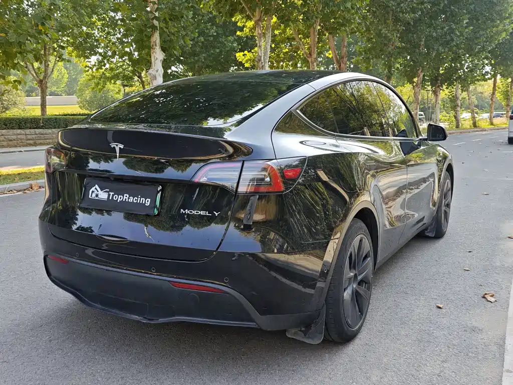 Tesla Model Y — миниатюра 9