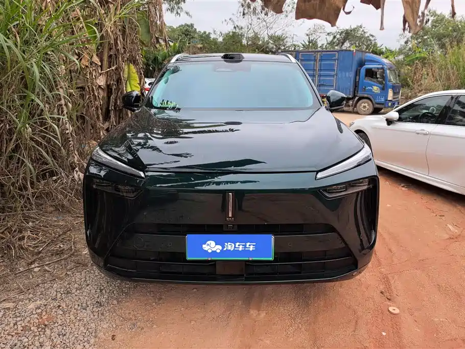 WEI PAI WEI BRAND BLUE MOUNTAIN