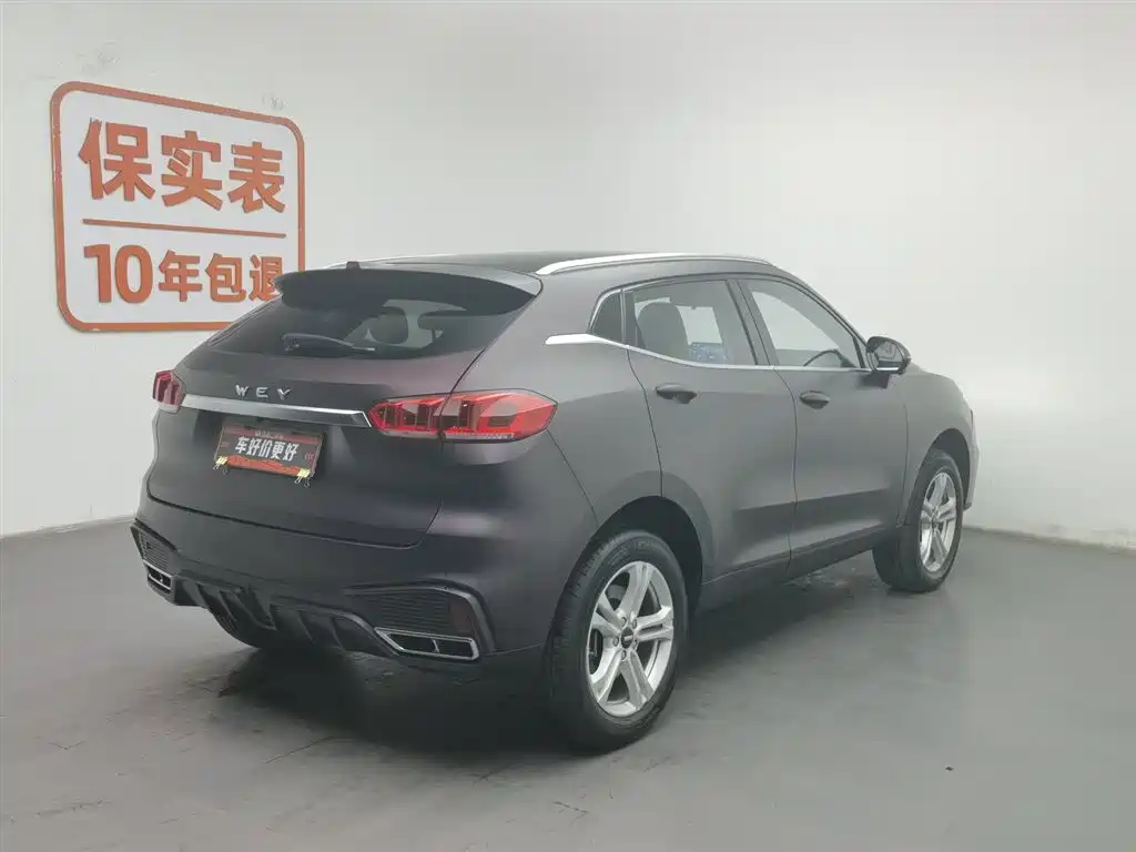 WEI PAI WEI BRAND VV5