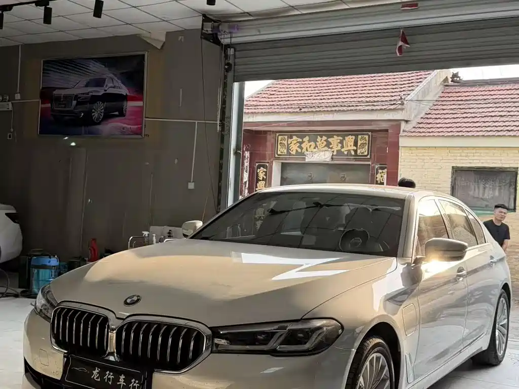 BMW 5 Series New Energy 2020