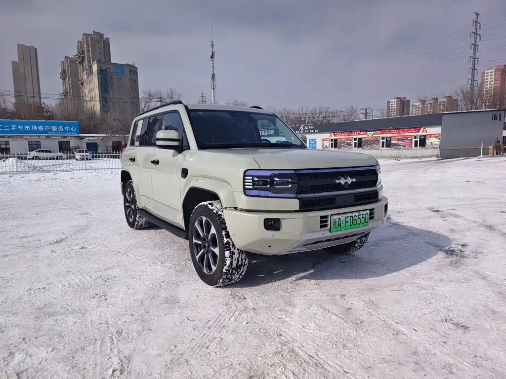 FANG CHENG BAO LEOPARD 5