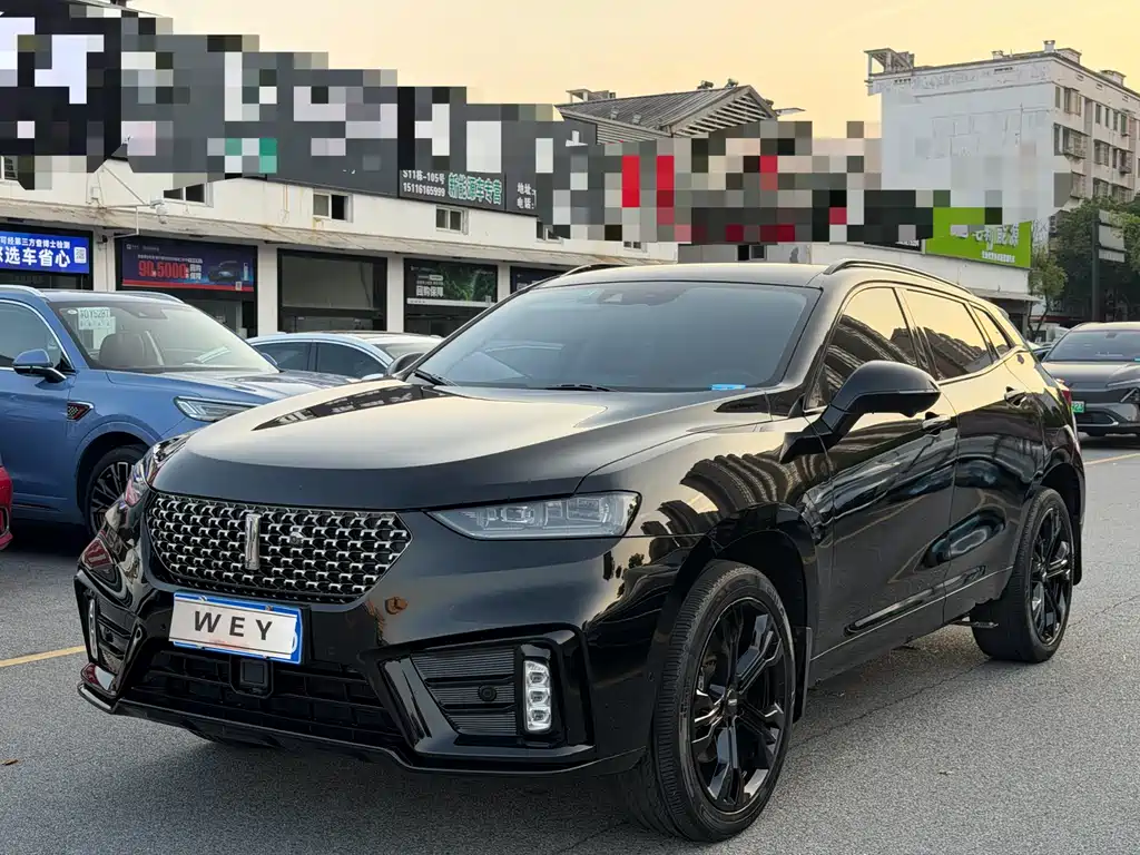 Купить Wey Wey VV7