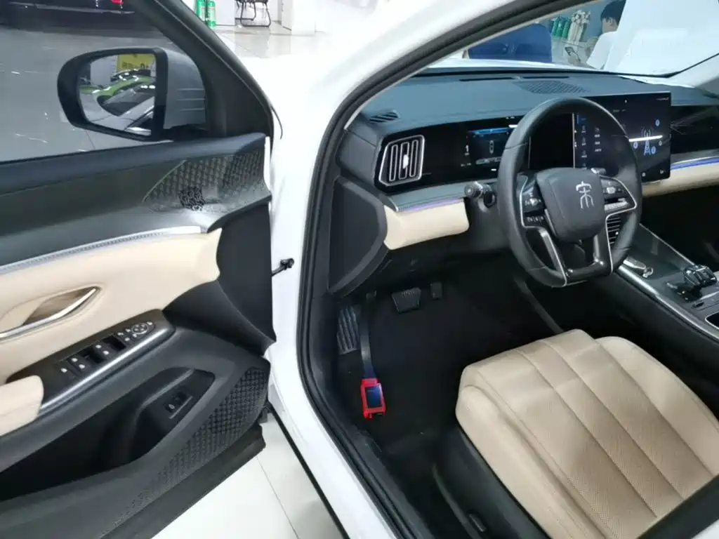 BYD Pro New Energy — миниатюра 16