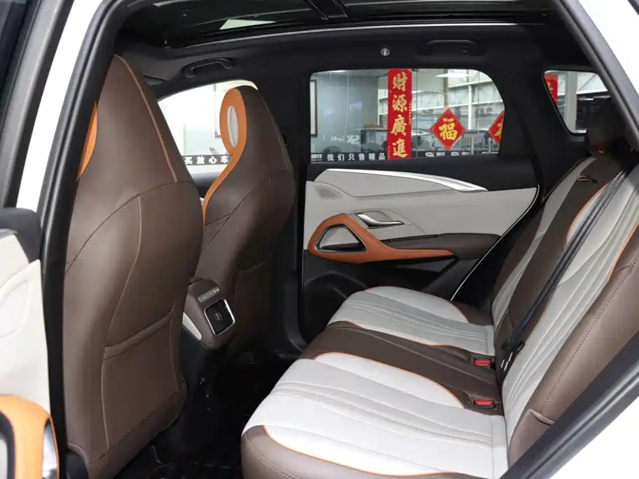 BYD Pro New Energy — миниатюра 11