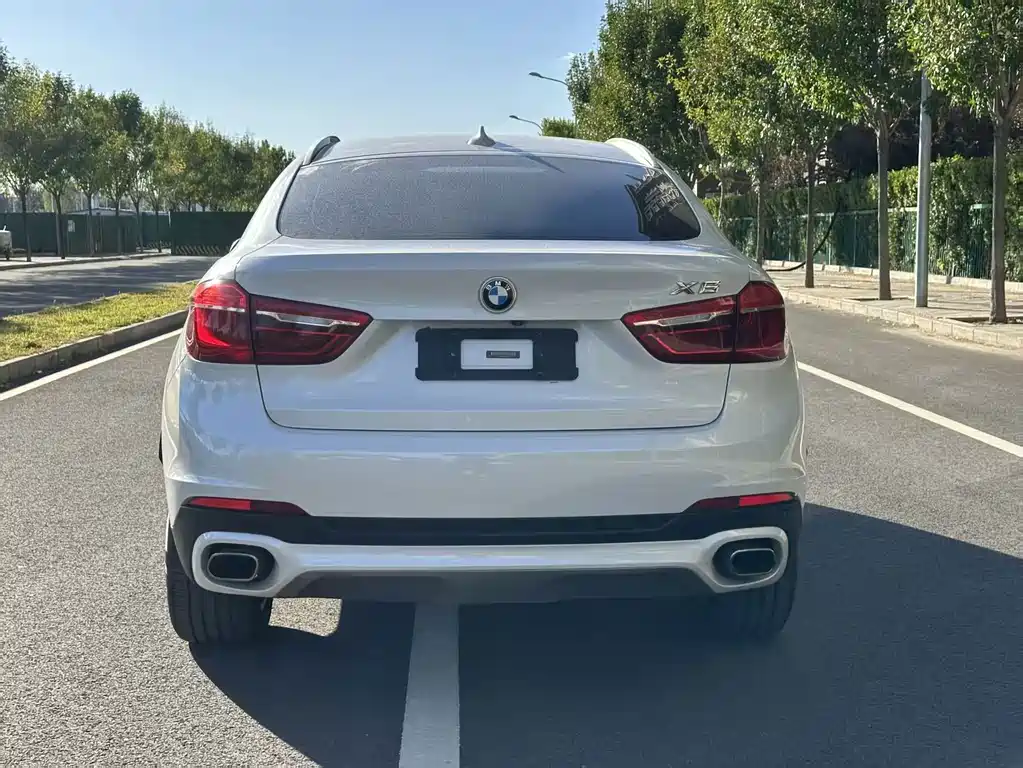 BMW X6 — миниатюра 7