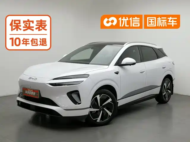 BYD Sea Lion 06
