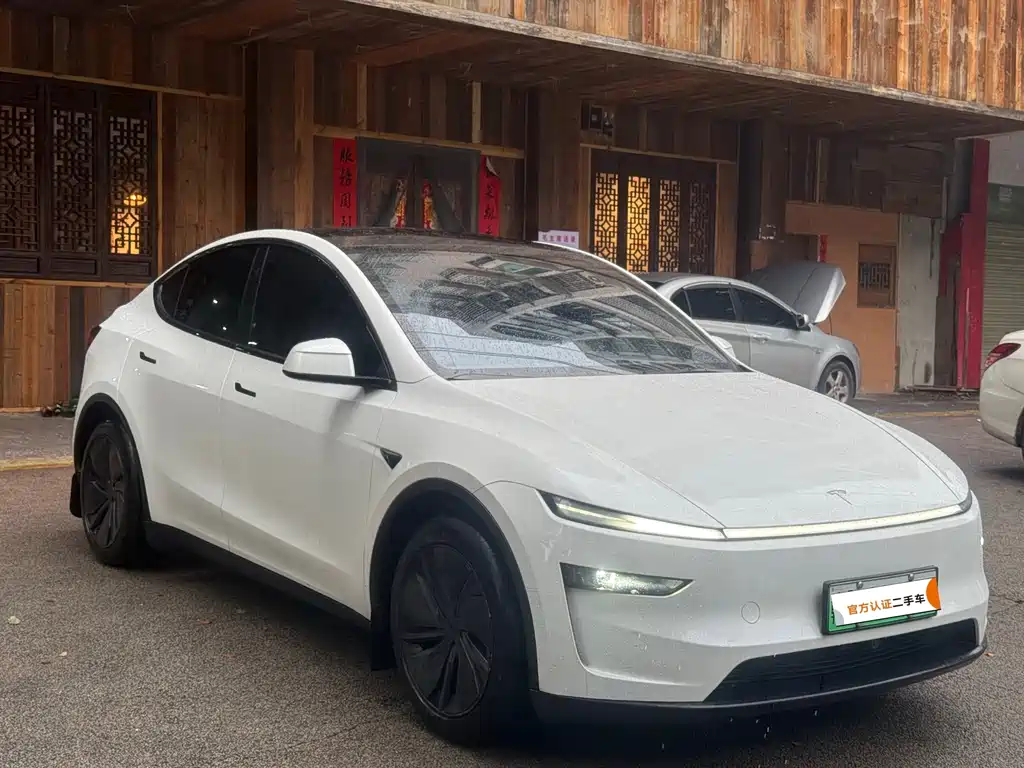Tesla Model Y — миниатюра 3