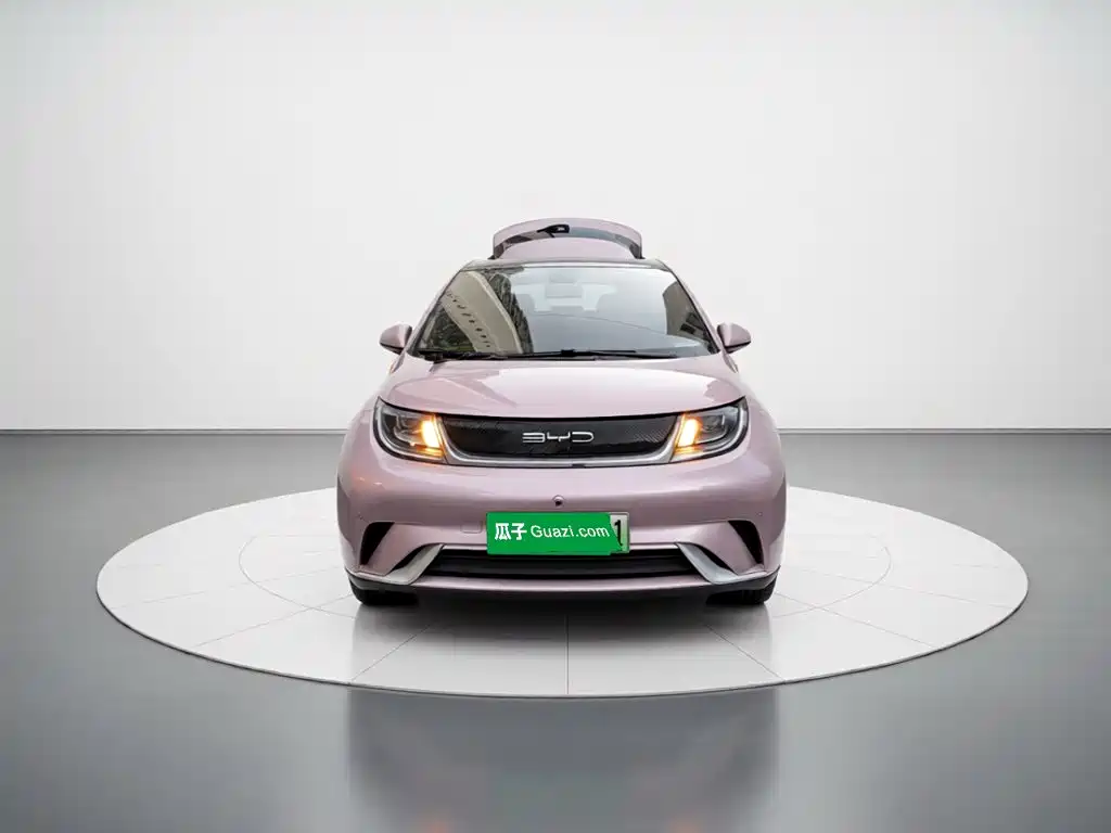 BYD Dolphin — миниатюра 2