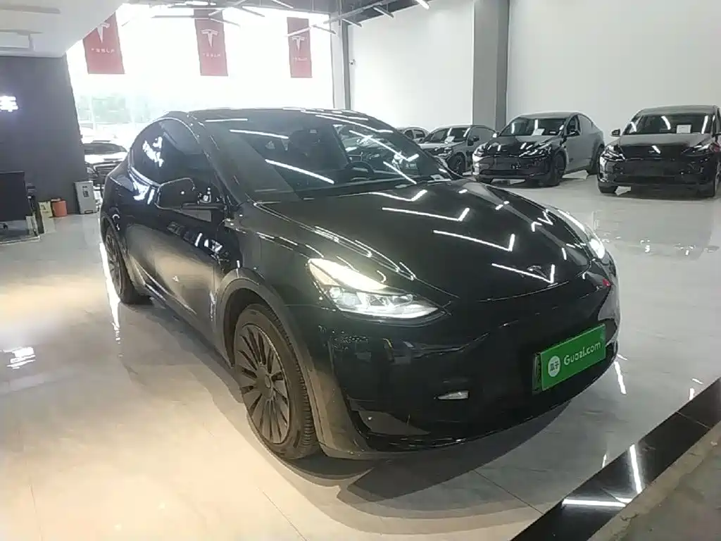 Tesla Model Y — миниатюра 4