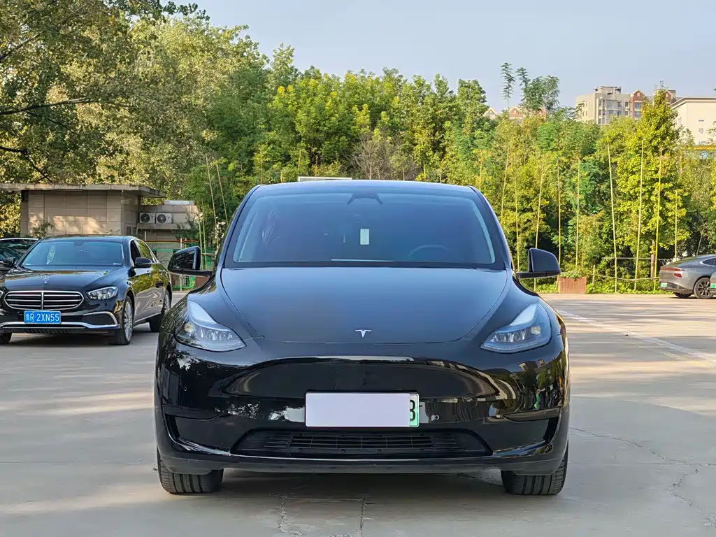 Tesla Model Y — миниатюра 2