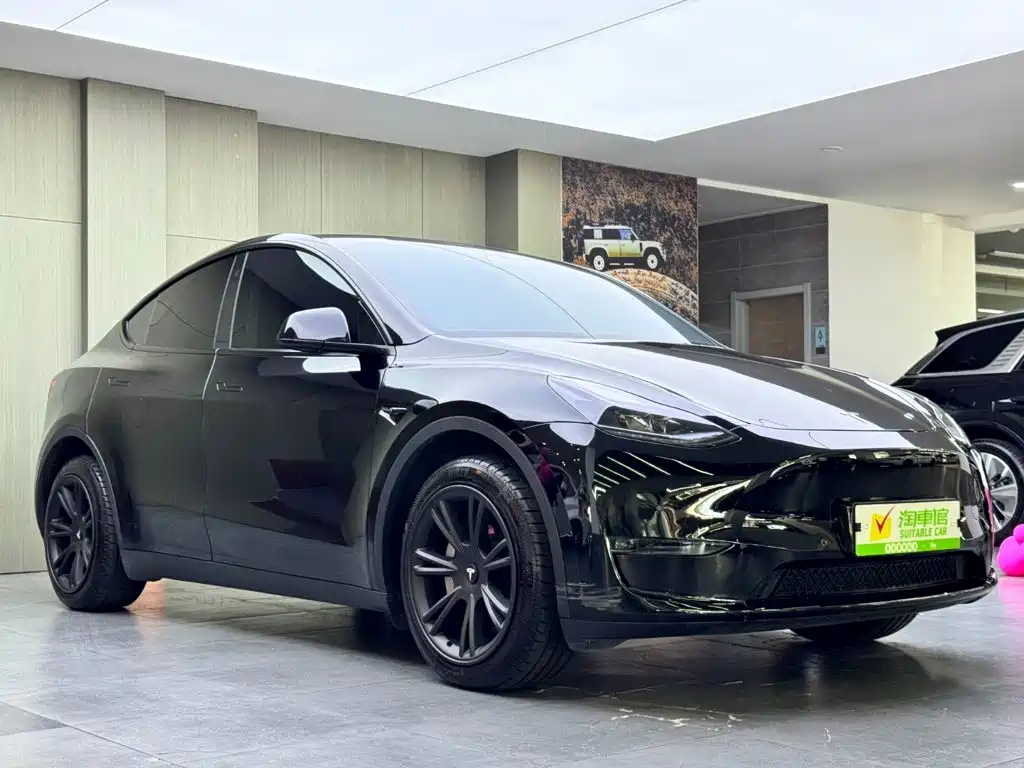 Tesla Model Y — миниатюра 3