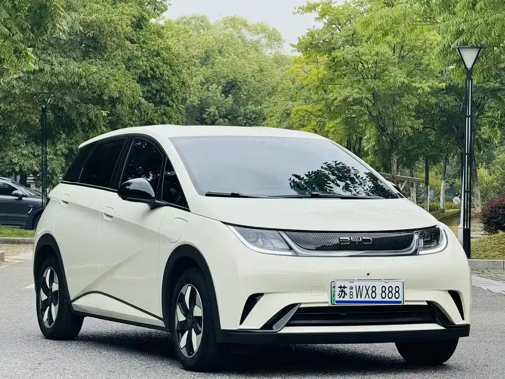 BYD Dolphin — миниатюра 3