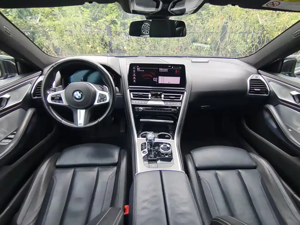 BMW 8 Series — миниатюра 24