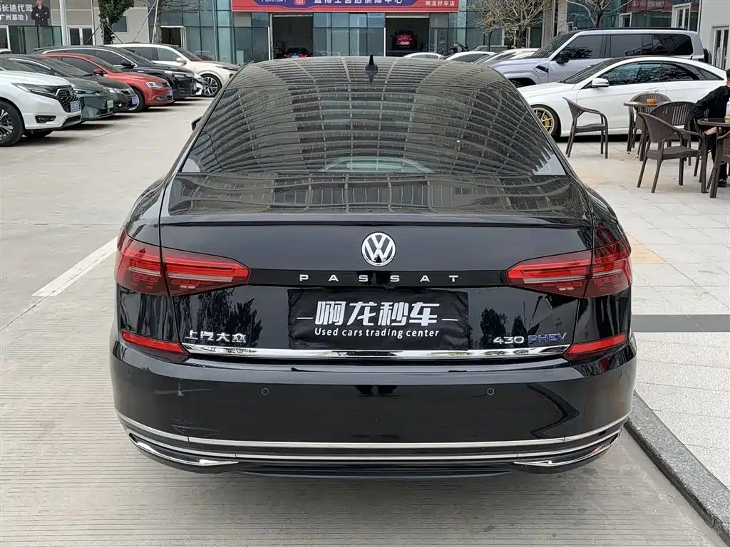 VOLKSWAGEN PASSAT NEW ENERGY