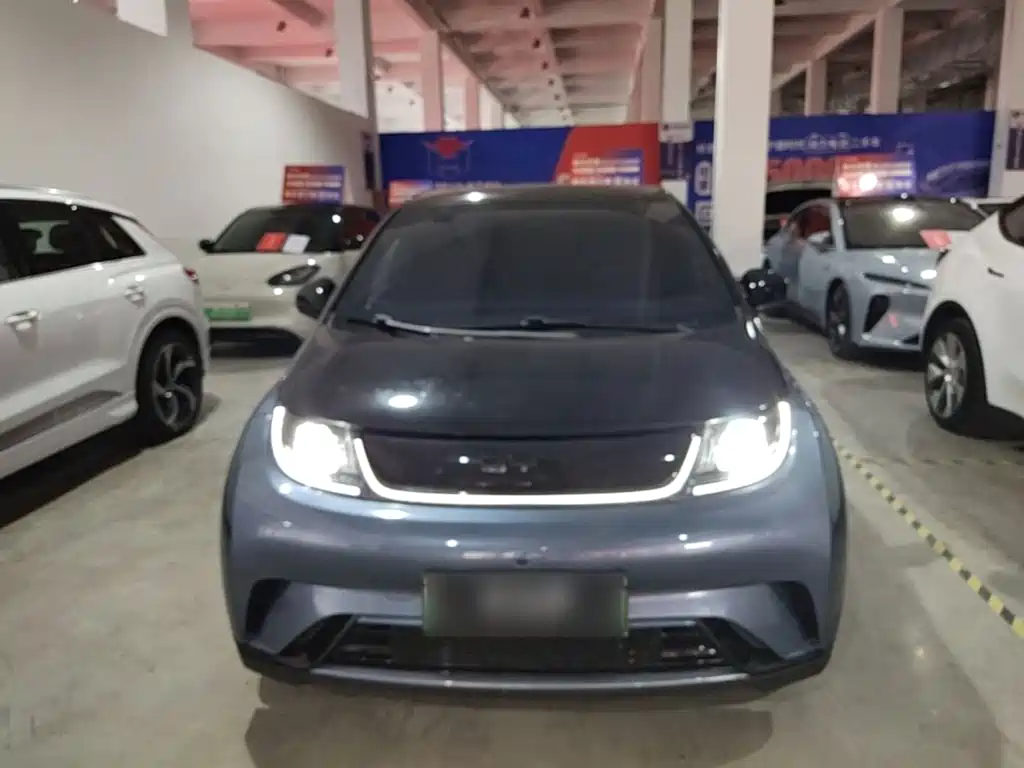 BYD Dolphin — миниатюра 3
