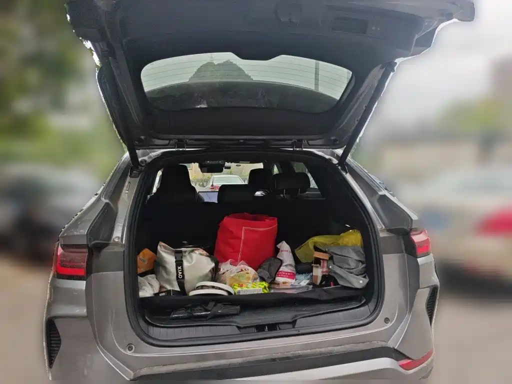 BYD PLUS New Energy — миниатюра 20