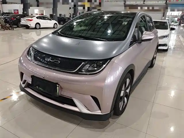 2022 BYD Dolphin
