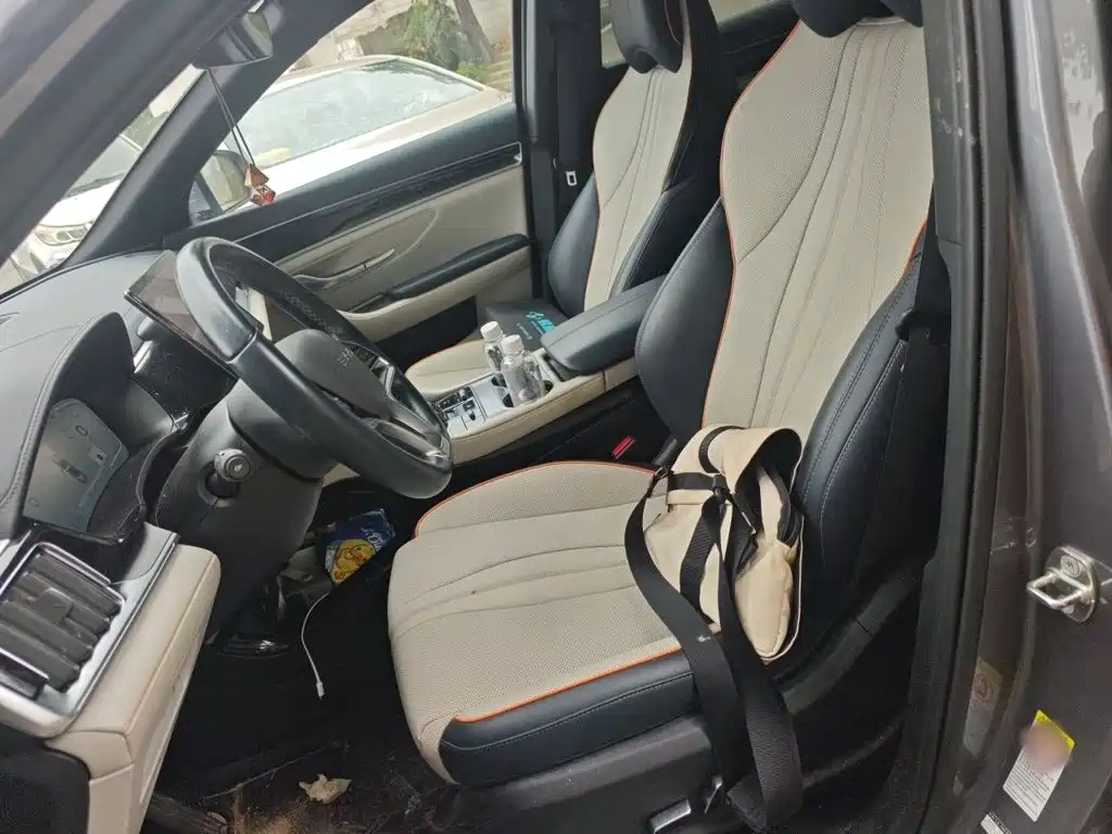 BYD PLUS New Energy — миниатюра 16
