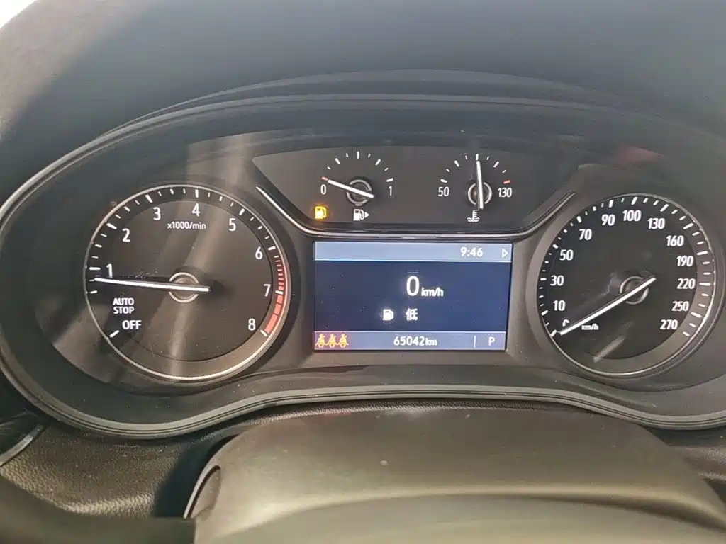 Buick Regal — миниатюра 12