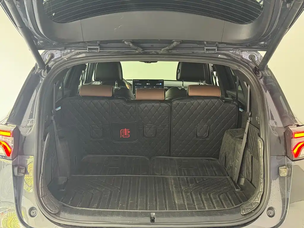 BYD Tang New Energy — миниатюра 8