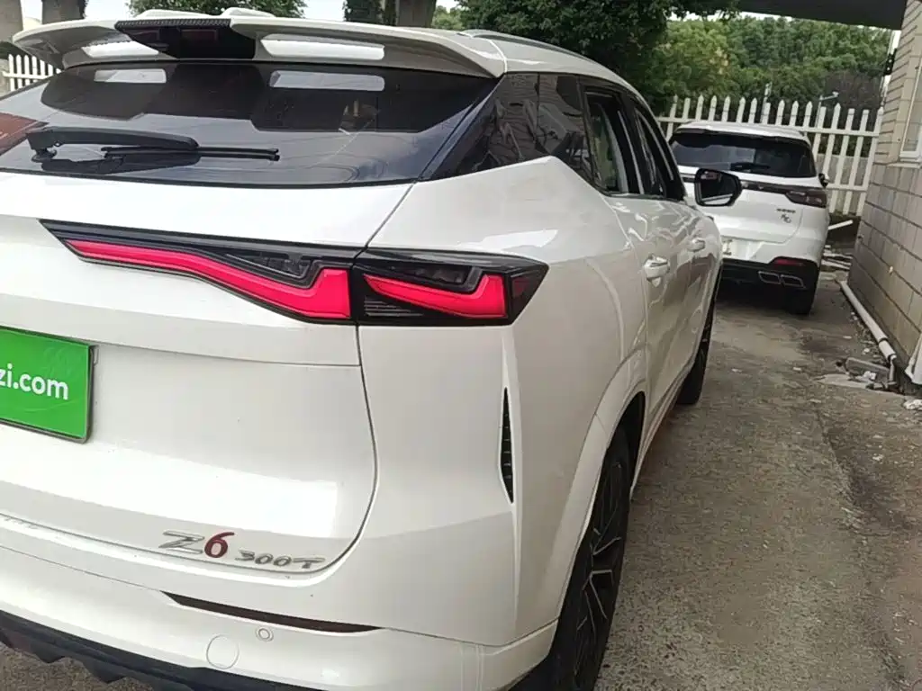 Oshan Oushang Z6 — миниатюра 8