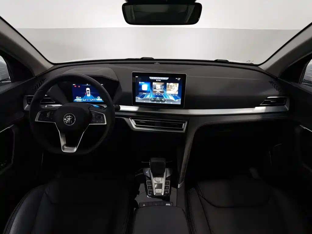 BYD Pro — миниатюра 5