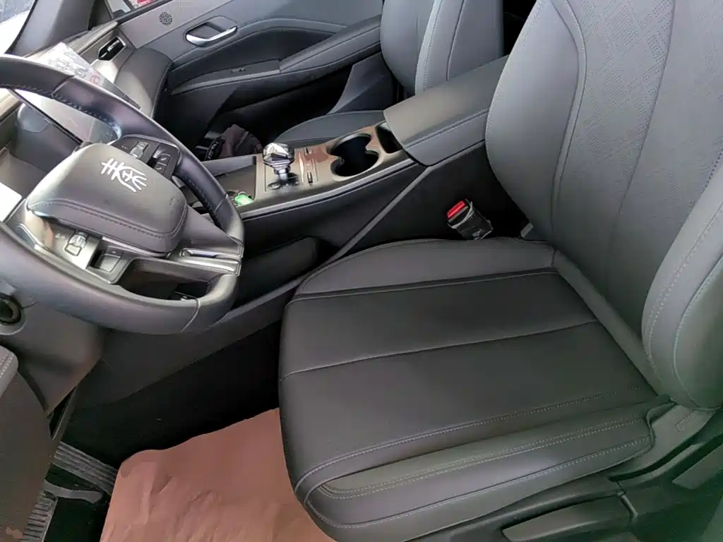BYD Qin PLUS — миниатюра 15
