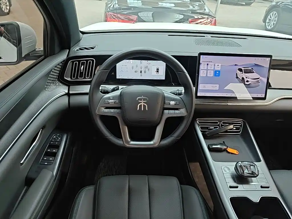 BYD Pro New Energy — миниатюра 11