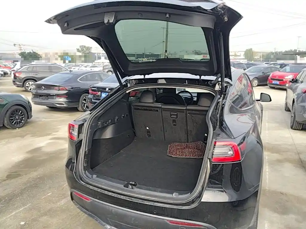 Tesla Model Y — миниатюра 19