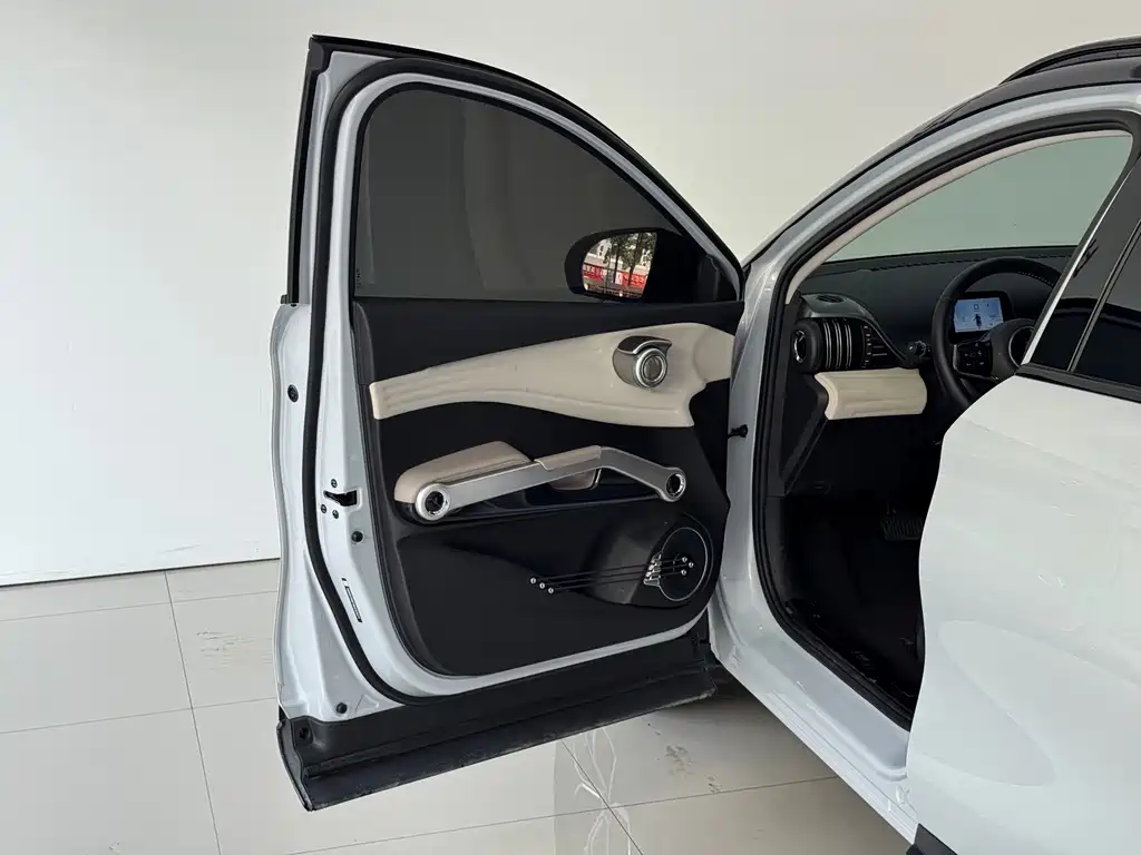 BYD Yuan Plus — миниатюра 14