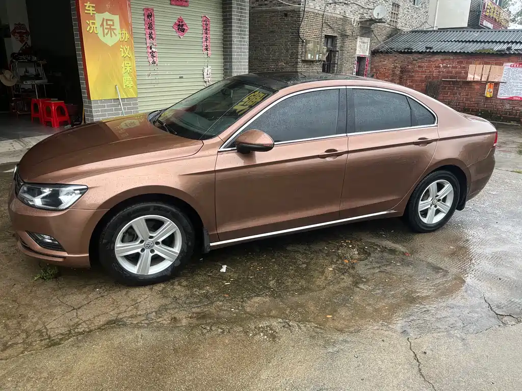 Volkswagen Lamando — миниатюра 4
