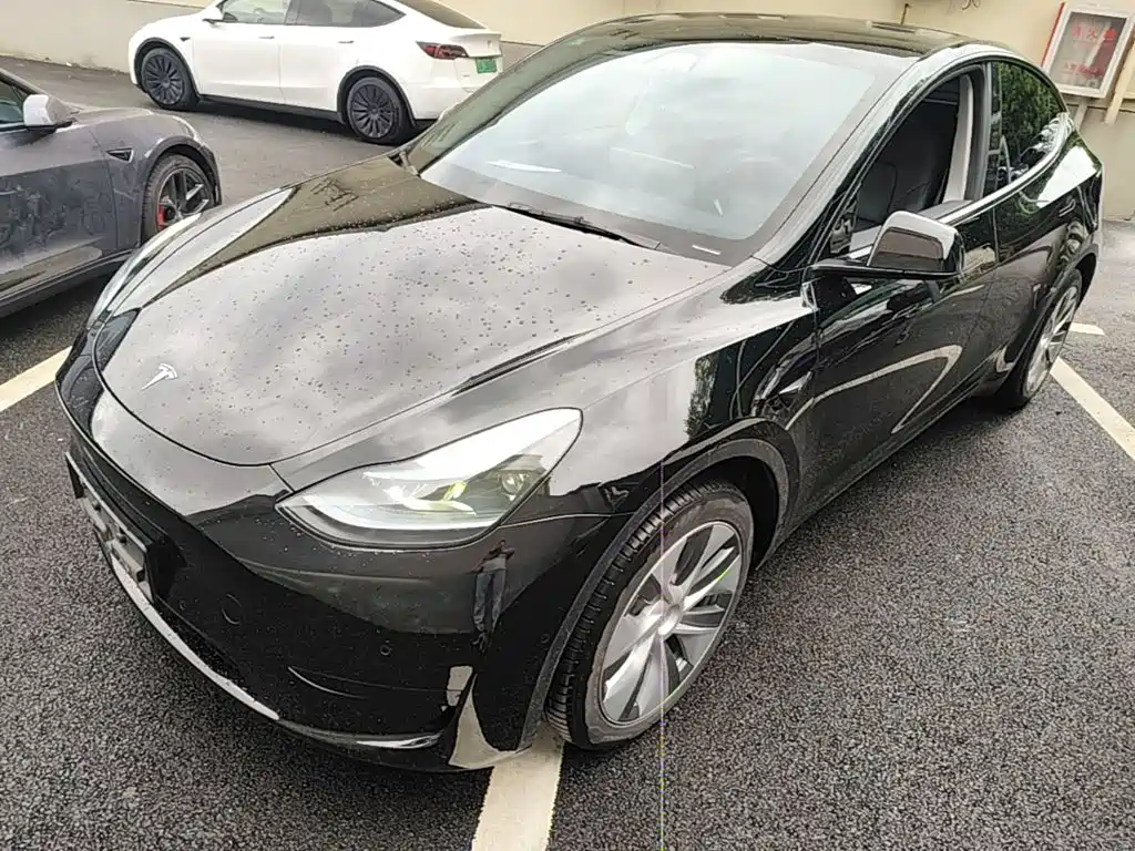 Tesla Model Y — миниатюра 2