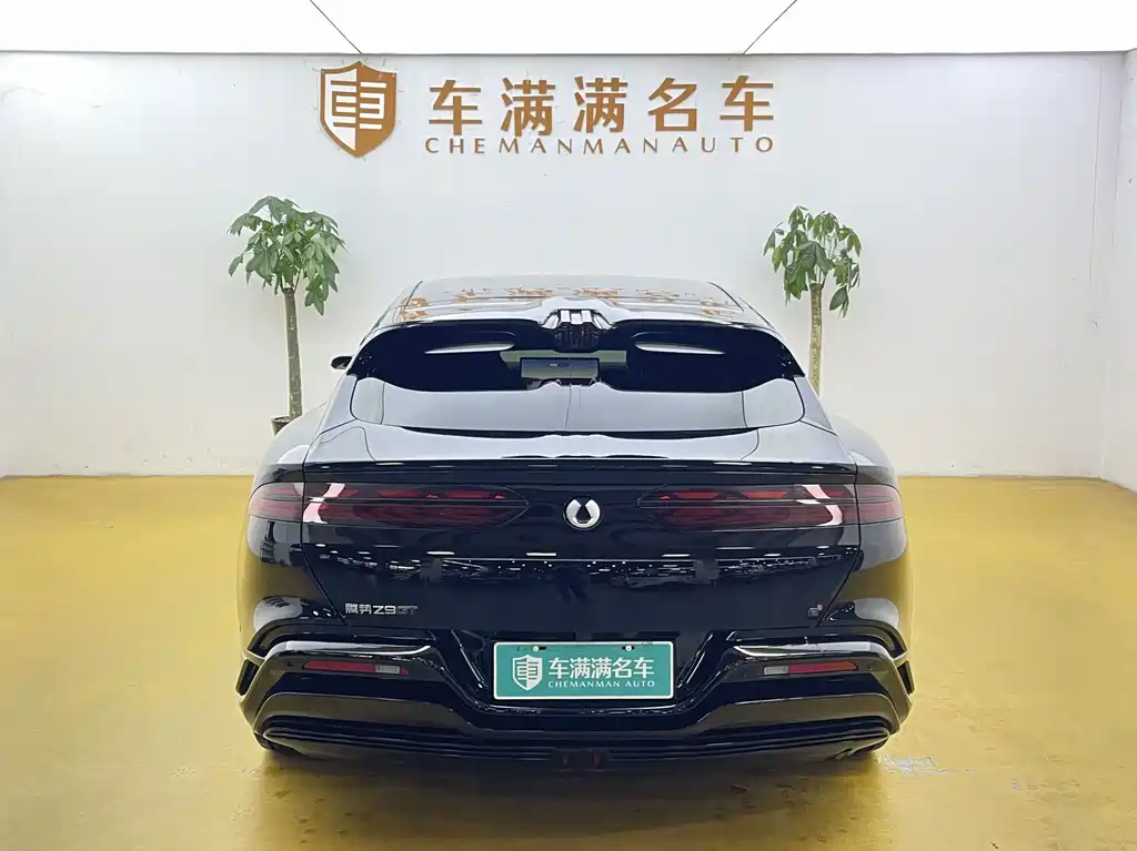 Denza Denza Z9GT — миниатюра 10