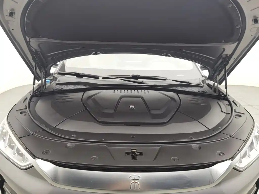 BYD PLUS New Energy — миниатюра 6