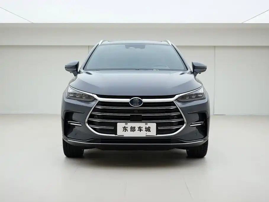 BYD Tang New Energy — миниатюра 2