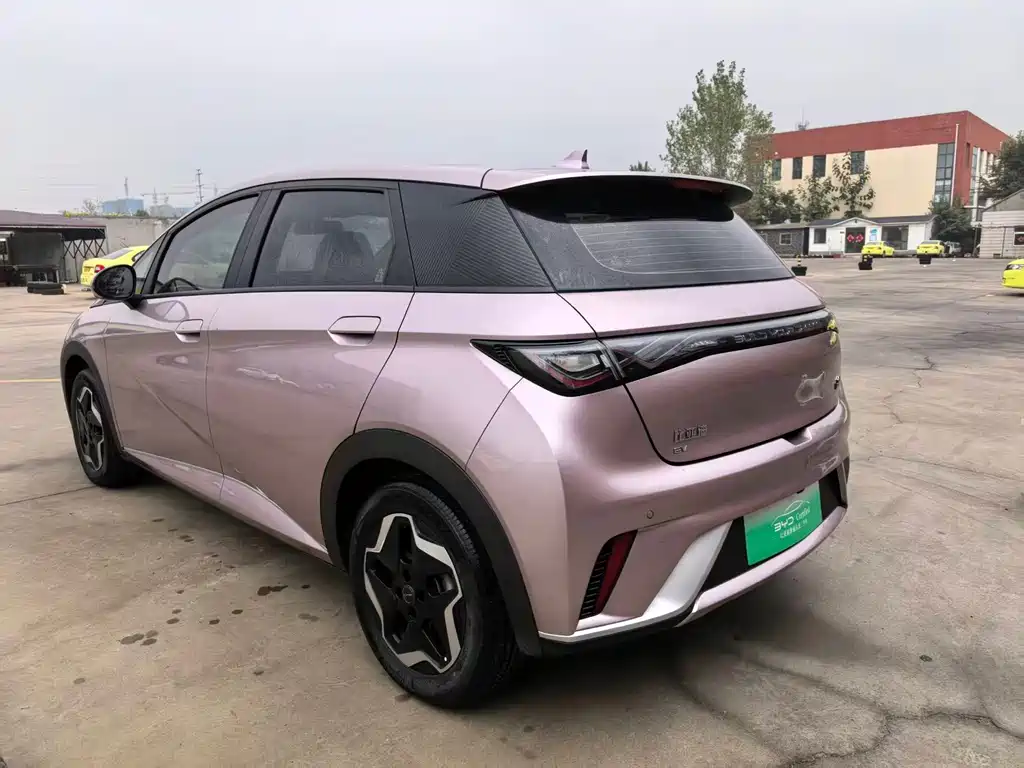 BYD Dolphin — миниатюра 10