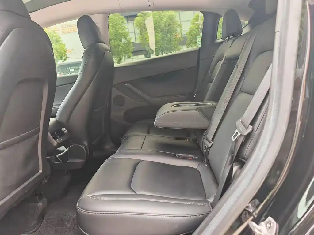 Tesla Model Y — миниатюра 5