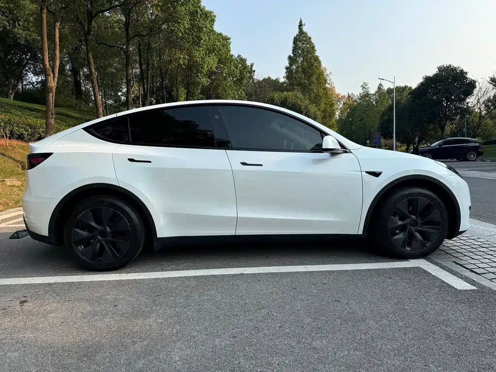 Tesla Model Y — миниатюра 4
