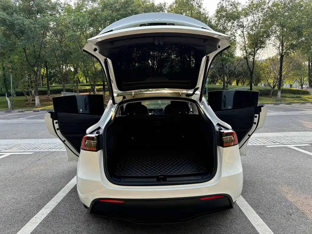 Tesla Model Y — миниатюра 11