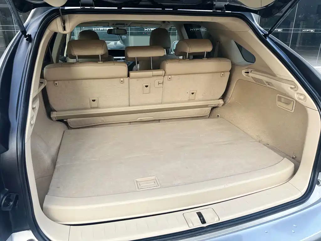 Lexus RX Classic — миниатюра 23