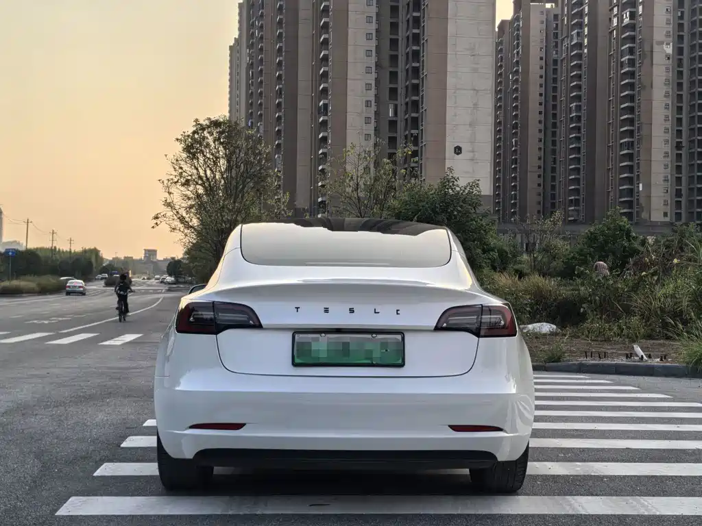 Tesla Model 3 — миниатюра 5