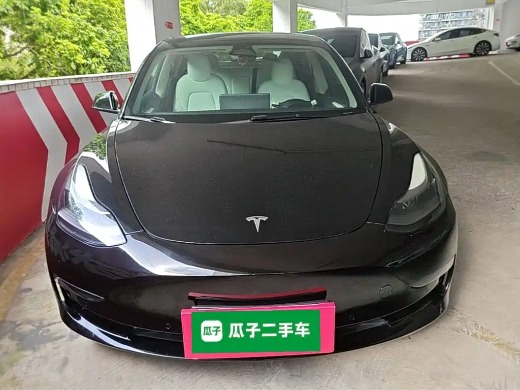 Tesla Model 3 — миниатюра 3