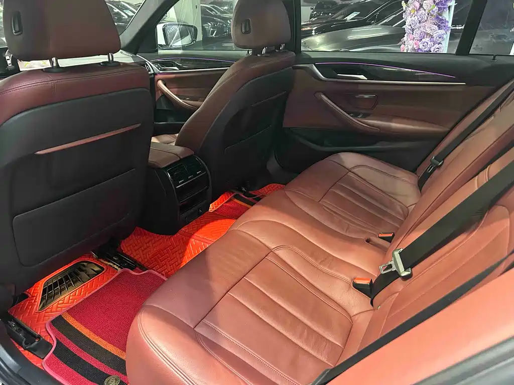 BMW 5 Series 5 2018 530Li Premium M Sport