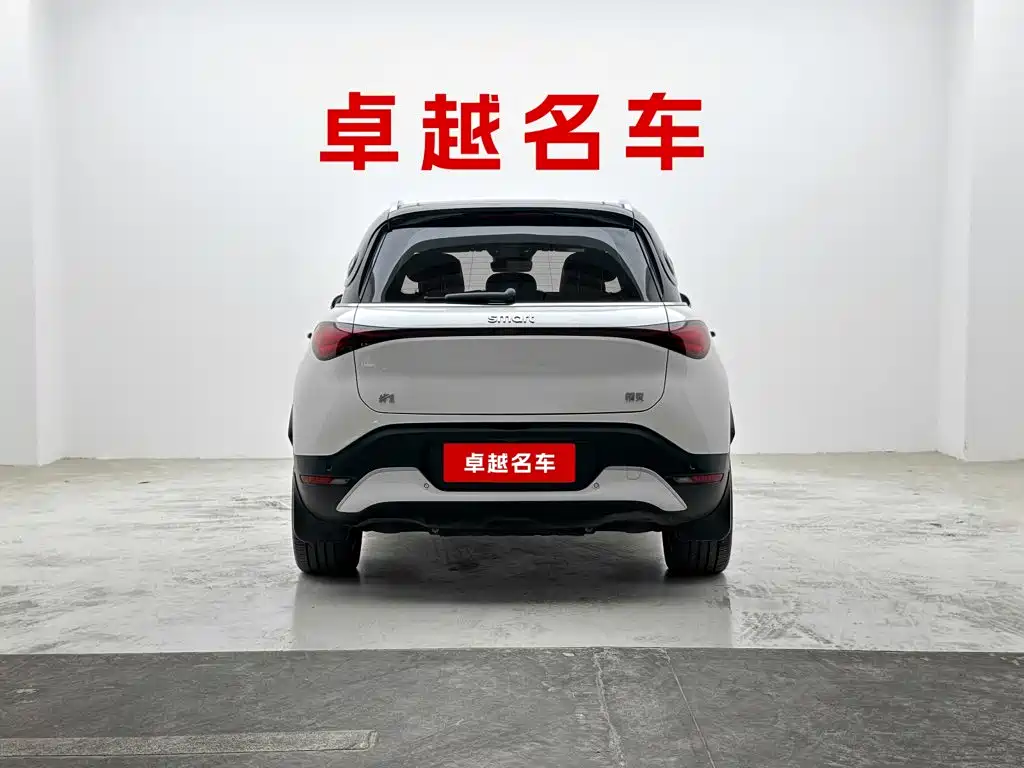 smart Smart #1 — миниатюра 3
